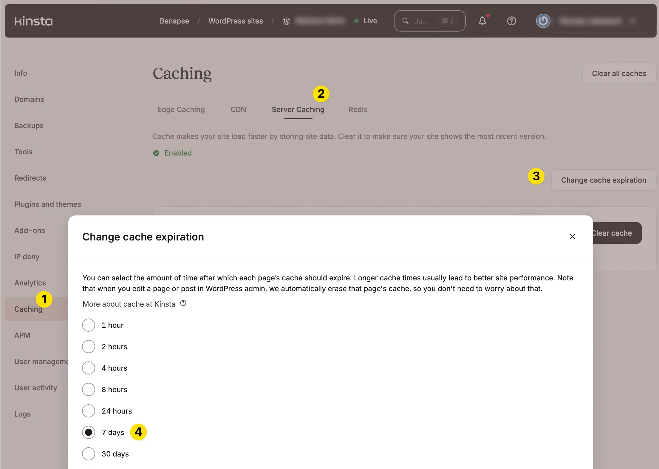 Réglage du cache chez Kinsta